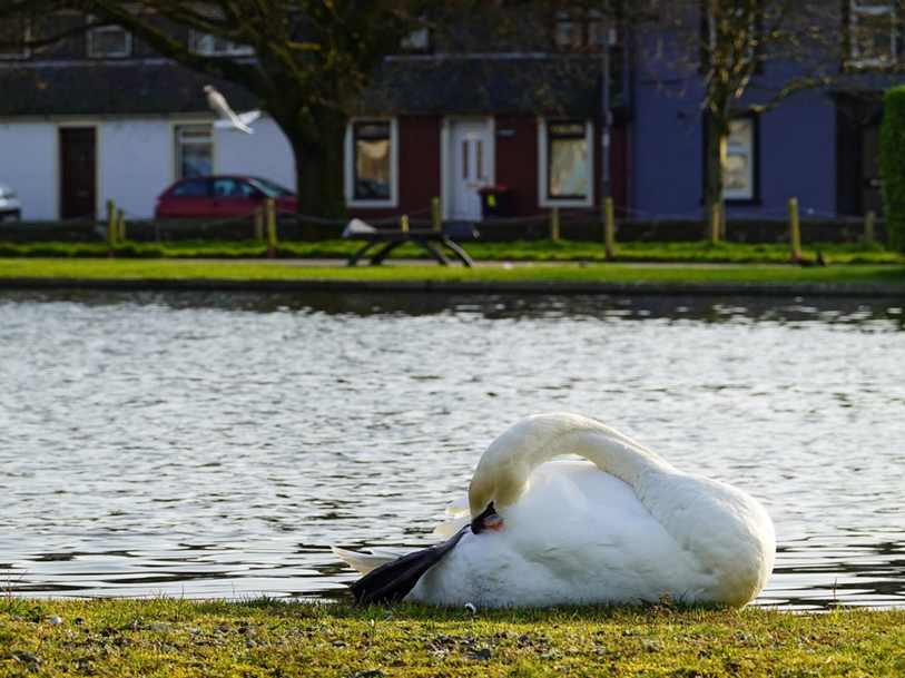 Vulnerabilidades em aplicativos móveis expuseram os modelos de carros Hyundai e Genesis após 2012 a ataques remotos que permitiam desbloquear e até ligar os veículos.