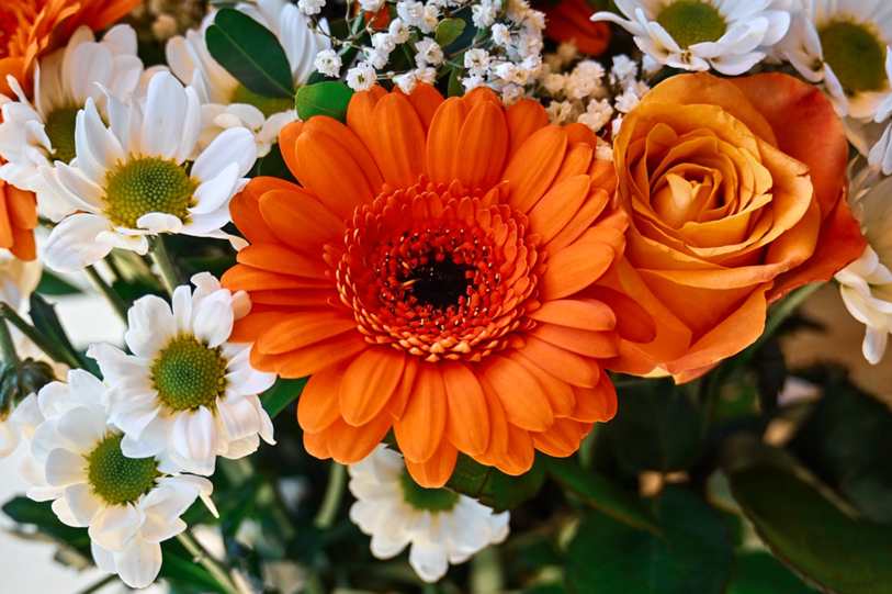 Pixpirate trojan bancário brasileiro