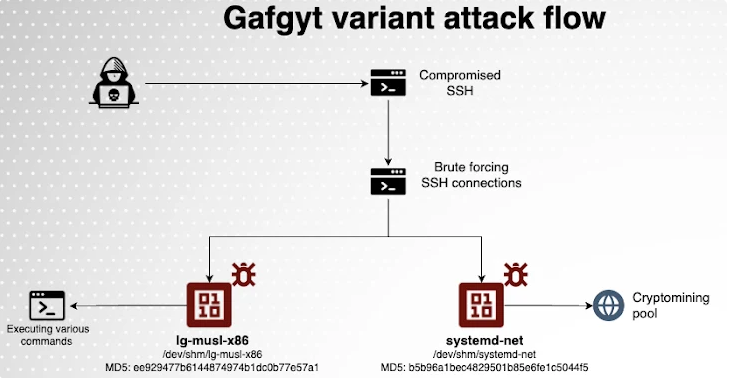 Nova variante do botnet Gafgyt tem como alvo senhas SSH fracas para mineração de criptografia de GPU